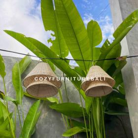Pendant Light Type 30