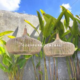 Pendant Light Type 25
