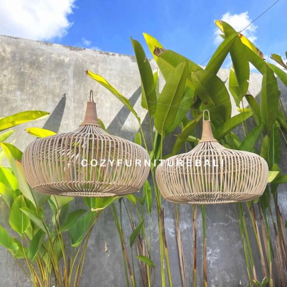 Pendant Light Type 25