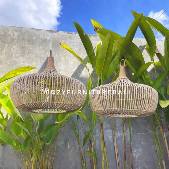 Pendant Light Type 25